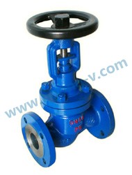 DIN caron steel WCB rise stem bellow globe valve